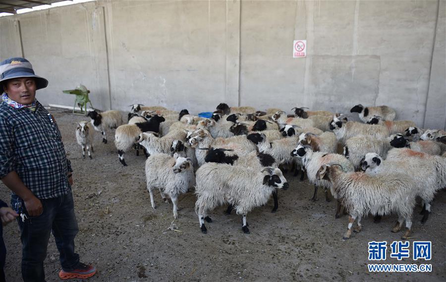 （集中連片特困地區貧困村調研行·圖文互動）（4）長江源村人的兩個家和幸福夢——青海格爾木市長江源村脫貧調查