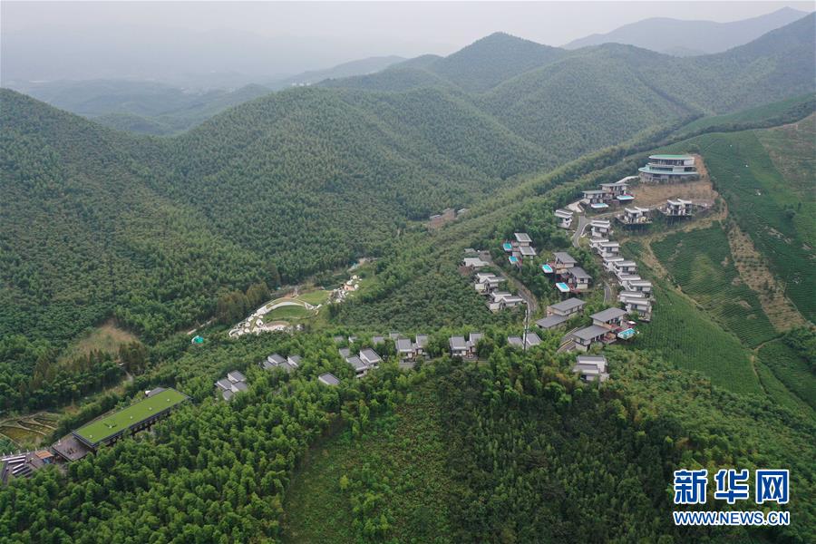 (新華全媒頭條·圖文互動)(8)“綠”從天目盎然出——湖州做好“六穩(wěn)”工作落實“六保”任務新觀察