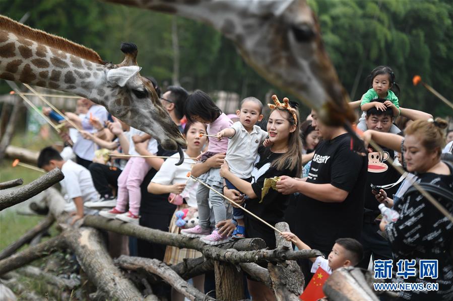 (新華全媒頭條·圖文互動)(9)“綠”從天目盎然出——湖州做好“六穩(wěn)”工作落實“六保”任務新觀察