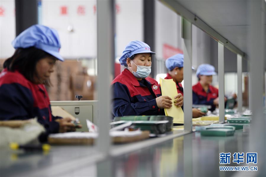 （在習近平新時代中國特色社會主義思想指引下——新時代新作為新篇章·習近平總書記關切事·圖文互動）（1）“綠色銀行”發工資、“股東”分紅來敲門……——探索長效脫貧致富新機制見聞