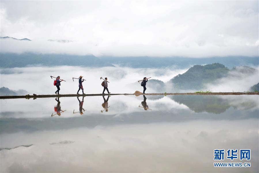 #（新華視界）（7）影像回眸“十三五”——綠色發展