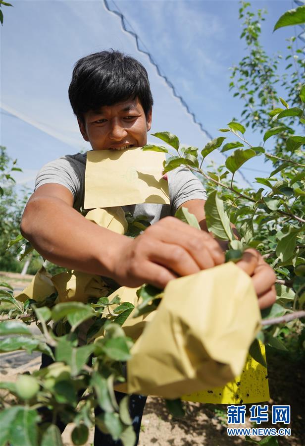 （習近平的小康故事·圖文互動）（2）“我很期盼的一件事，就是讓鄉親們飽餐一頓肉”——習近平和脫貧攻堅的故事