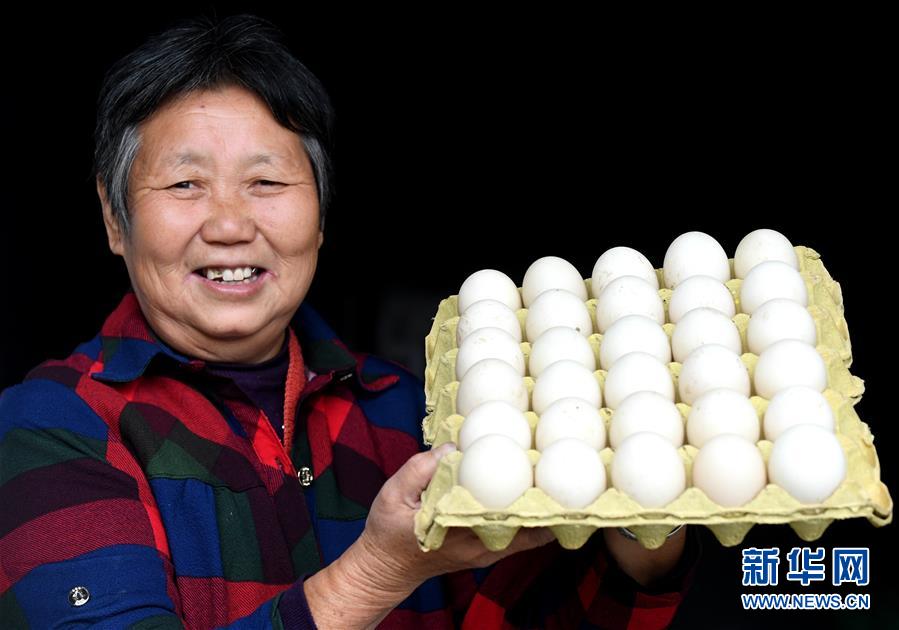 (決戰決勝脫貧攻堅·圖文互動)(3)17代人追逐的夢想實現了——記冀南平原劉秋口村變遷