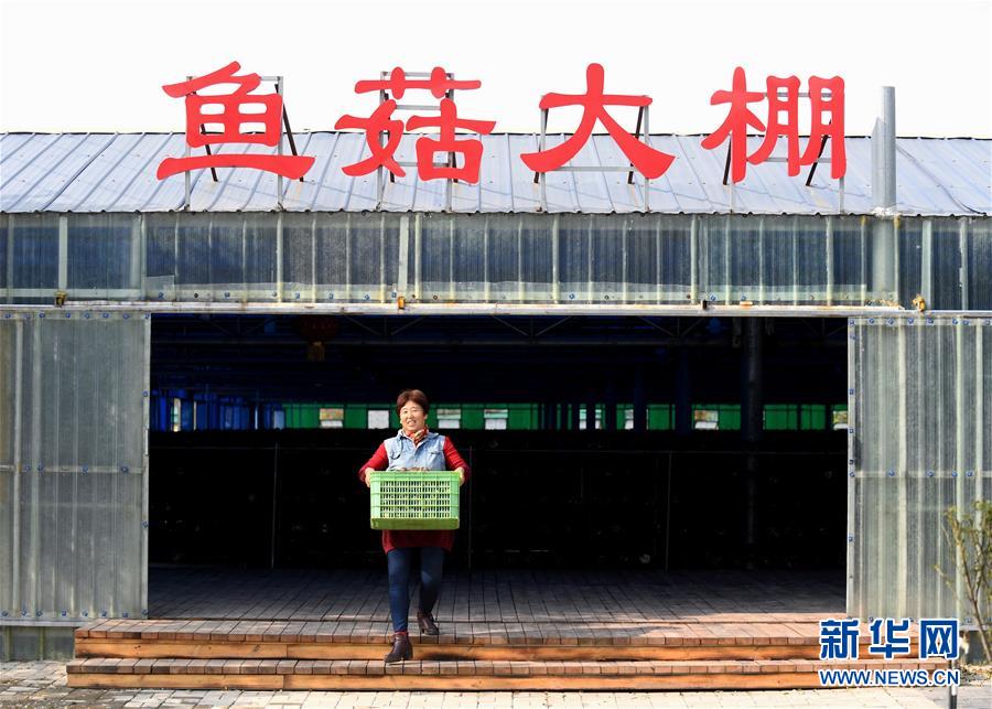 (決戰決勝脫貧攻堅·圖文互動)(5)17代人追逐的夢想實現了——記冀南平原劉秋口村變遷