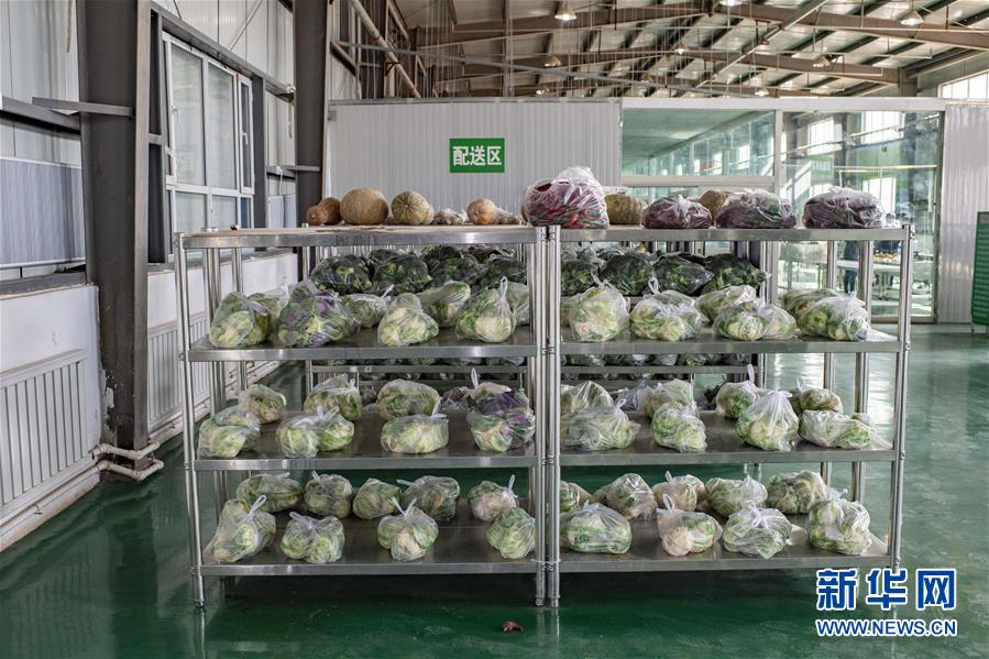 (聚焦疫情防控·圖文互動)(1)把握先機 應(yīng)對有序——新疆疏附縣全力阻斷新冠肺炎病毒傳播