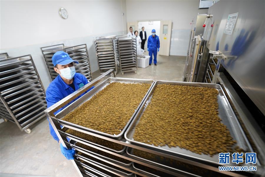 (決戰決勝脫貧攻堅·圖文互動)(3)重慶三峽庫區從“中華藥庫”里探尋脫貧致富“良方”