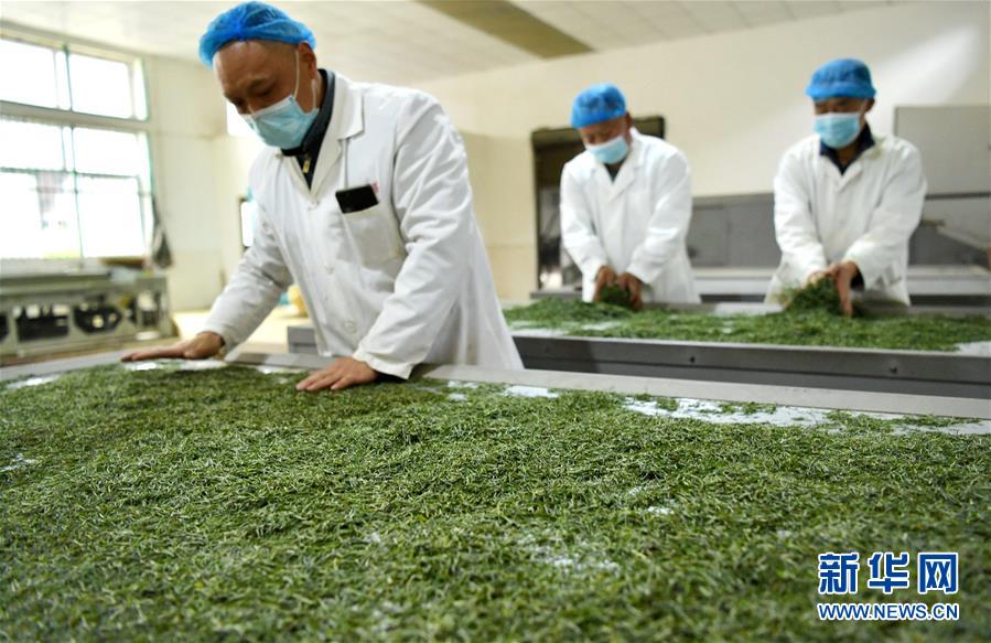 (新華全媒頭條·圖文互動)(22)從人民中汲取磅礴力量——習(xí)近平總書記同出席2020年全國兩會人大代表、政協(xié)委員共商國是紀(jì)實