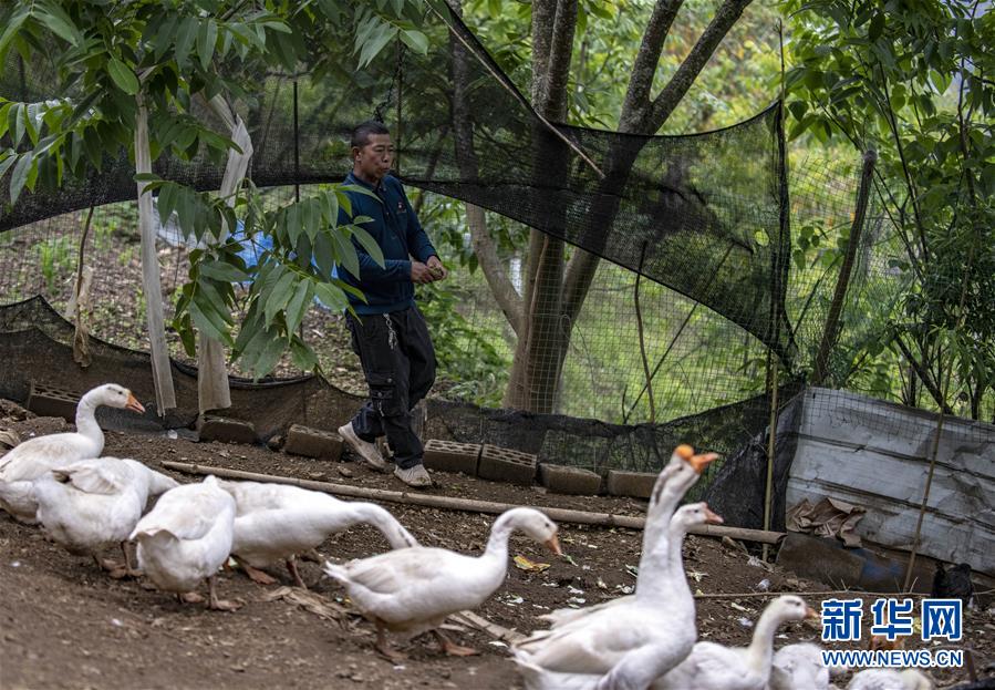 (新華全媒頭條·兩會精神看落實·圖文互動)(8)培育新機 開辟新局——落實全國兩會精神激發經濟發展新動能述評