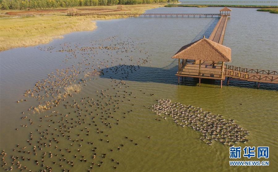 （新華全媒頭條·圖文互動(dòng)）（9）奮力書寫東北振興的時(shí)代新篇——習(xí)近平總書記調(diào)研東北三省并主持召開(kāi)深入推進(jìn)東北振興座談會(huì)紀(jì)實(shí)