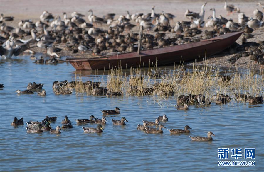 （新華全媒頭條·圖文互動(dòng)）（10）奮力書寫東北振興的時(shí)代新篇——習(xí)近平總書記調(diào)研東北三省并主持召開(kāi)深入推進(jìn)東北振興座談會(huì)紀(jì)實(shí)