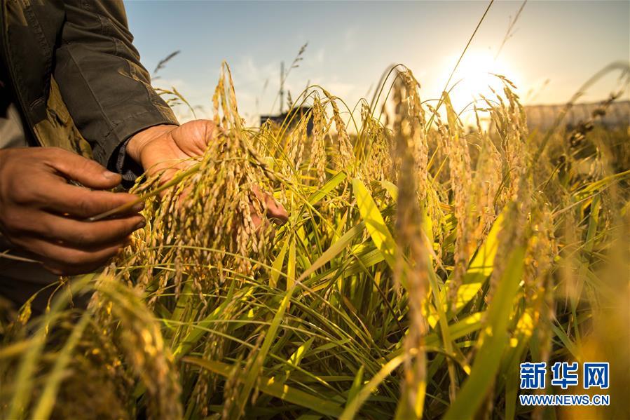 （新華全媒頭條·圖文互動）（5）上下同心再出發(fā)——習近平總書記同出席2019年全國兩會人大代表、政協(xié)委員共商國是紀實