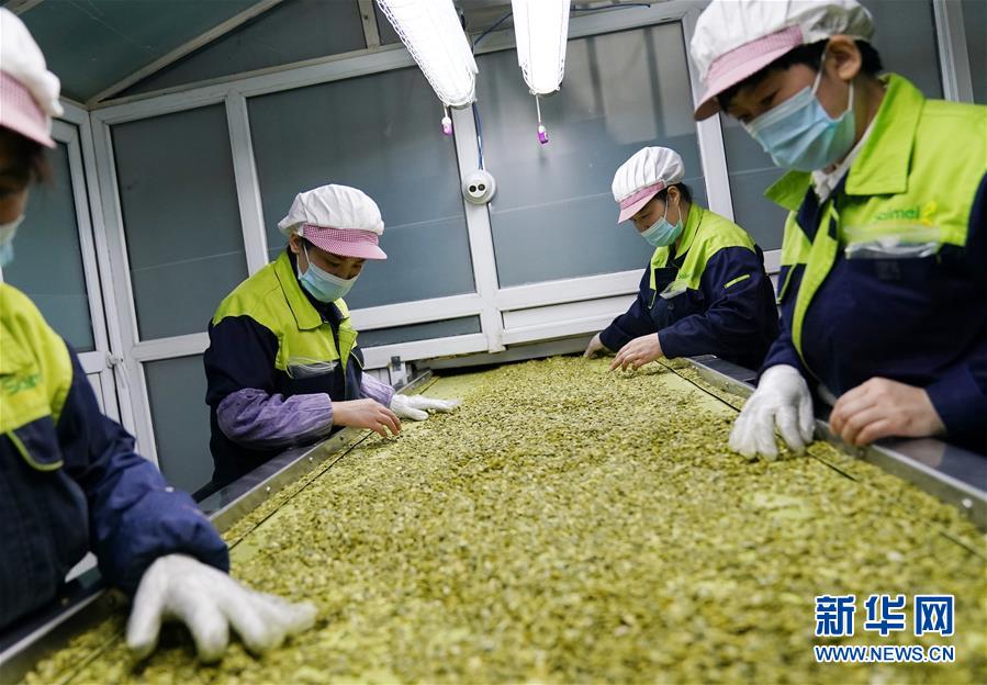 (在習(xí)近平新時(shí)代中國(guó)特色社會(huì)主義思想指引下——新時(shí)代新作為新篇章·習(xí)近平總書(shū)記關(guān)切事·圖文互動(dòng))(5)激發(fā)每個(gè)經(jīng)濟(jì)“細(xì)胞”的活力——千方百計(jì)把市場(chǎng)主體保護(hù)好