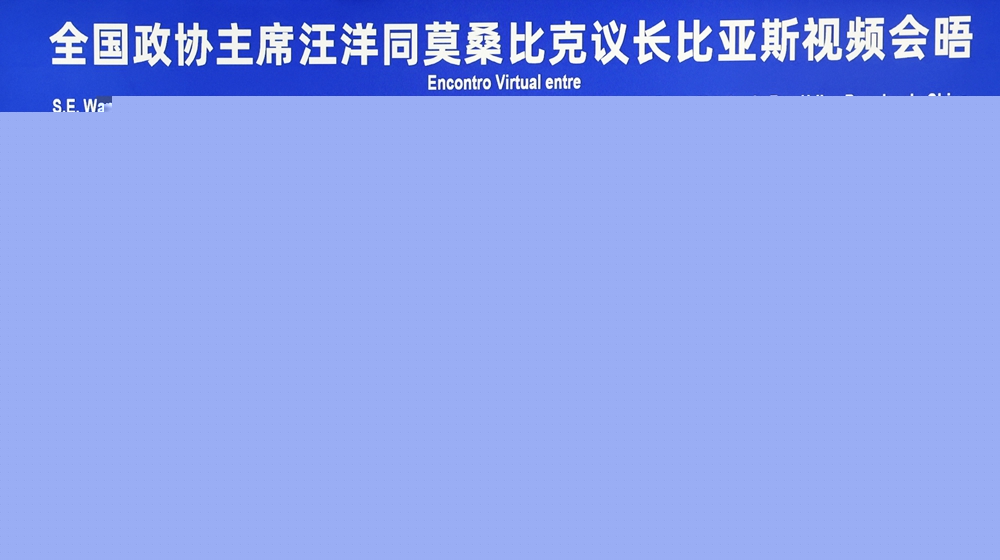 汪洋會見莫桑比克議長比亞斯