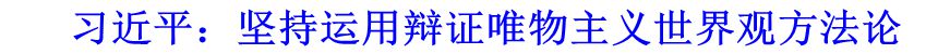 習近平：堅持運用辯證唯物主義世界觀方法論