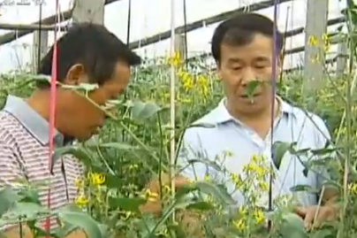 李雙星:脫貧致富圓夢人