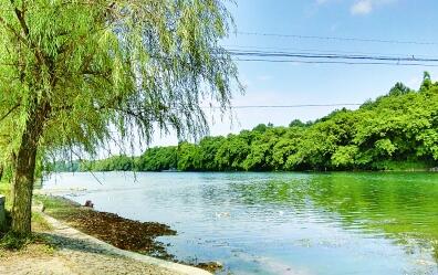 【網絡媒體走轉改】廣西興安：將紅色文化融入旅游業(yè)發(fā)展