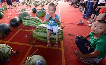 河南開封：“斗瓜”大賽精彩紛呈