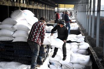 安徽:農資“春運”助春耕