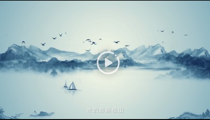 向陽花木易為春——綠色發展之“木”的故事