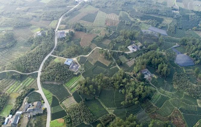 從“富口袋”到“富腦袋”——成都探尋鄉村振興的文化力量