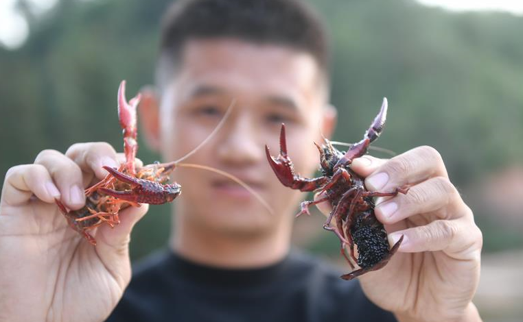 吹盡狂沙始到金——綠色發展之“金”的故事