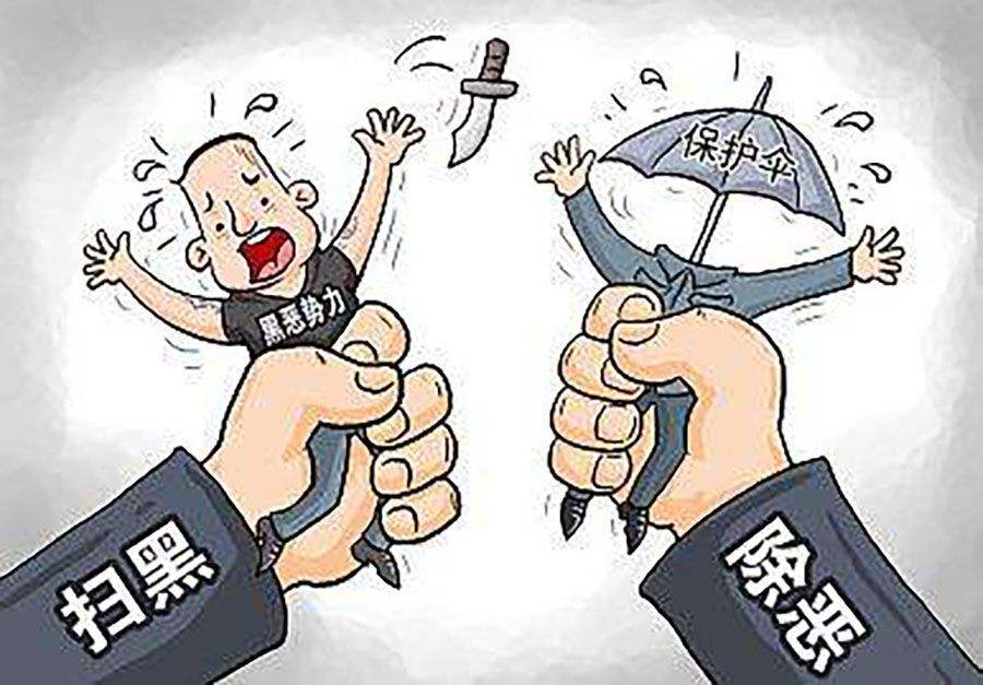 辛識平：將掃黑除惡進(jìn)行到底