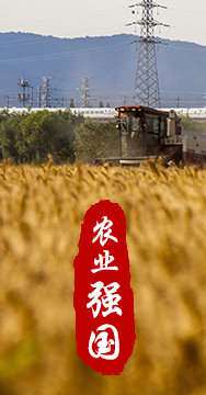 農業強國是社會主義現代化強國的根基。