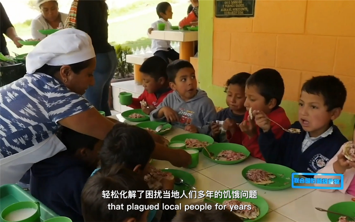 藜麥的蹤跡遍布北美、歐洲、亞洲和非洲多地