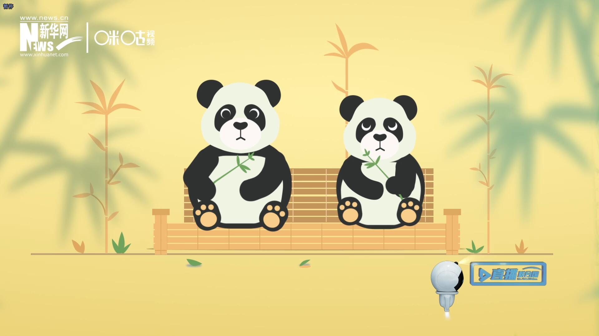 “哥哥你看，又有人來看我們了。”“有什么奇怪的，我們可是聯(lián)合國‘最萌’的大使啊！”。