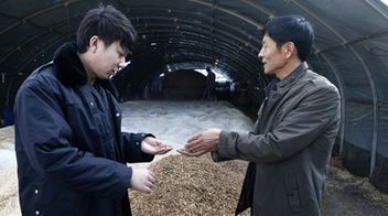 孟飛 ：“80后”村官扎根一線 發展產業促鄉村振興