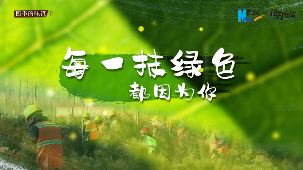 千年秀林，每一抹綠色都因為你