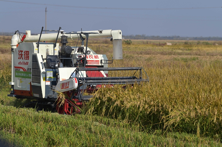 新華社評論員:穩固耕地基本盤，打好種業翻身仗