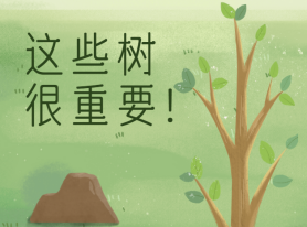 這些樹(shù)很重要！