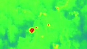 云南野生象群的奇幻之旅：紅外監(jiān)測(cè)——夕陽(yáng)鄉(xiāng)大雨 象群抱團(tuán)取暖