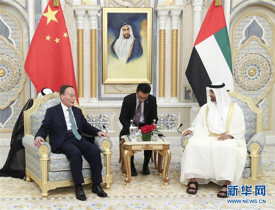 (時政)王岐山訪問阿聯酋