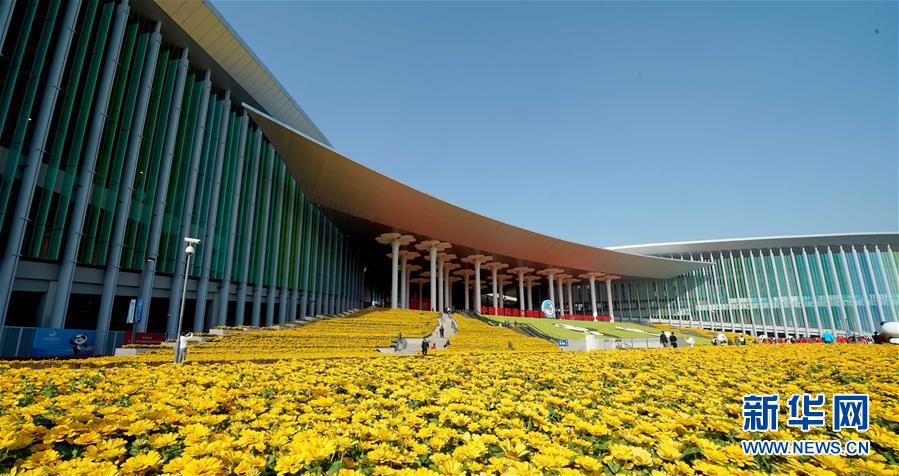 (新華全媒頭條·聚焦進口博覽會·圖文互動)(1)在開放中匯聚強勁動能——從首屆進博會觀察全球創新發展走向