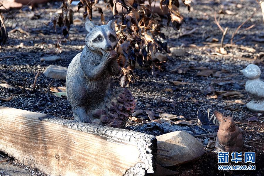 （國際·圖文互動(dòng)）（4）一場山火，讓這個(gè)冬天格外冷——探訪美國加州山火災(zāi)區(qū)