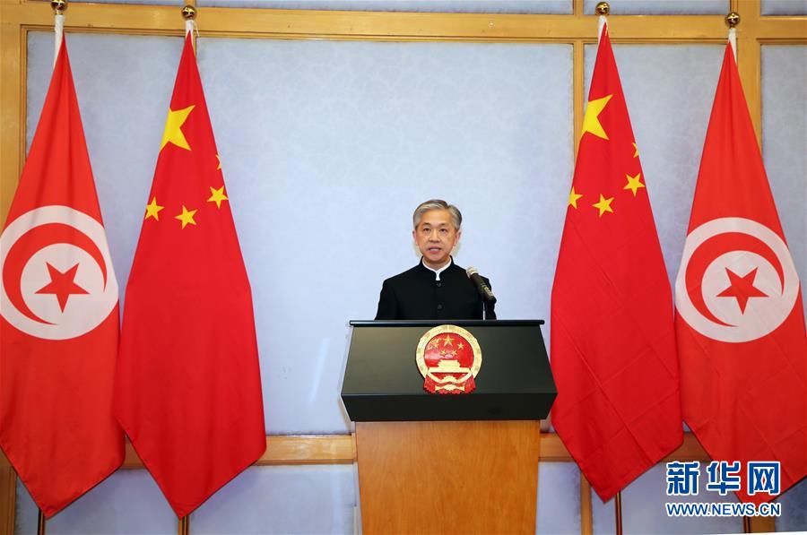 （XHDW·圖文互動）（2）五湖迎亥歲　四海賀新春——我駐外使領館舉辦新春招待會喜迎農歷新年