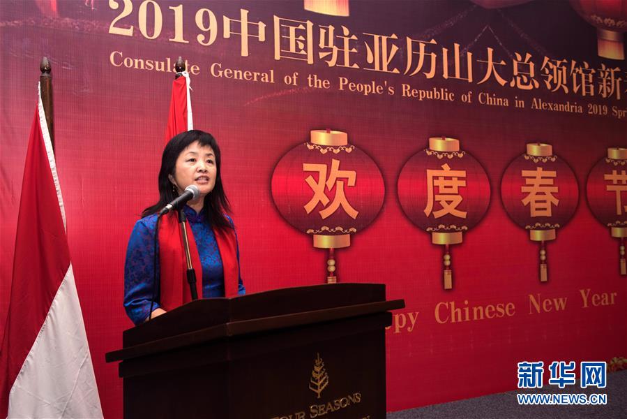 （XHDW·圖文互動）（3）五湖迎亥歲　四海賀新春——我駐外使領館舉辦新春招待會喜迎農歷新年