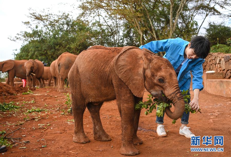 (國際·圖文互動)(2)專訪:環保要以身作則 從身邊小事做起——訪聯合國環境署親善大使王俊凱