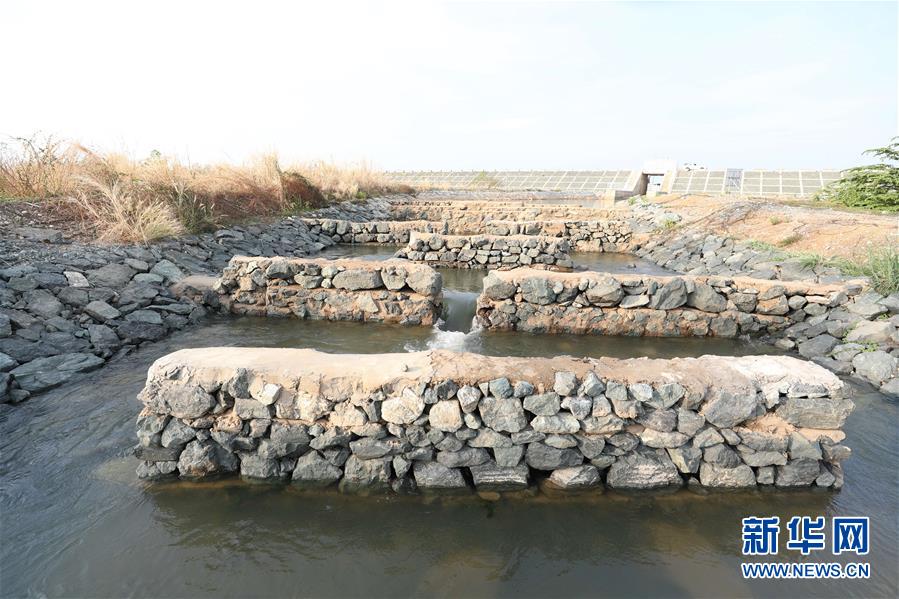 （國際·“一帶一路”高峰論壇·圖文互動）（1）通訊：為魚兒保障回家的路——中國水電工程助力柬埔寨綠色發展