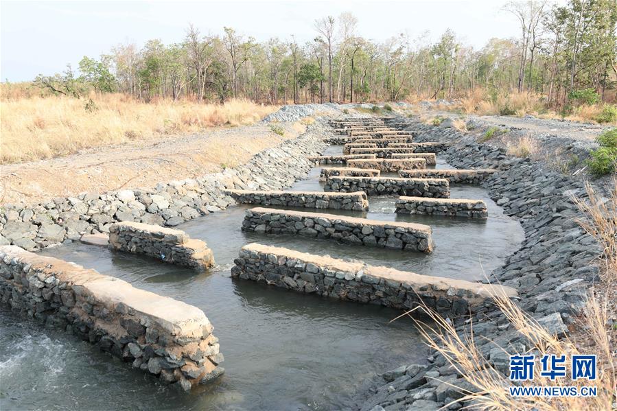 （國際·“一帶一路”高峰論壇·圖文互動）（2）通訊：為魚兒保障回家的路——中國水電工程助力柬埔寨綠色發展