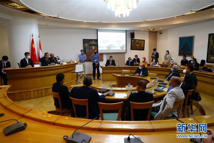 （國際·圖文互動）埃及文化部舉辦“中埃文化關系”專題研討會