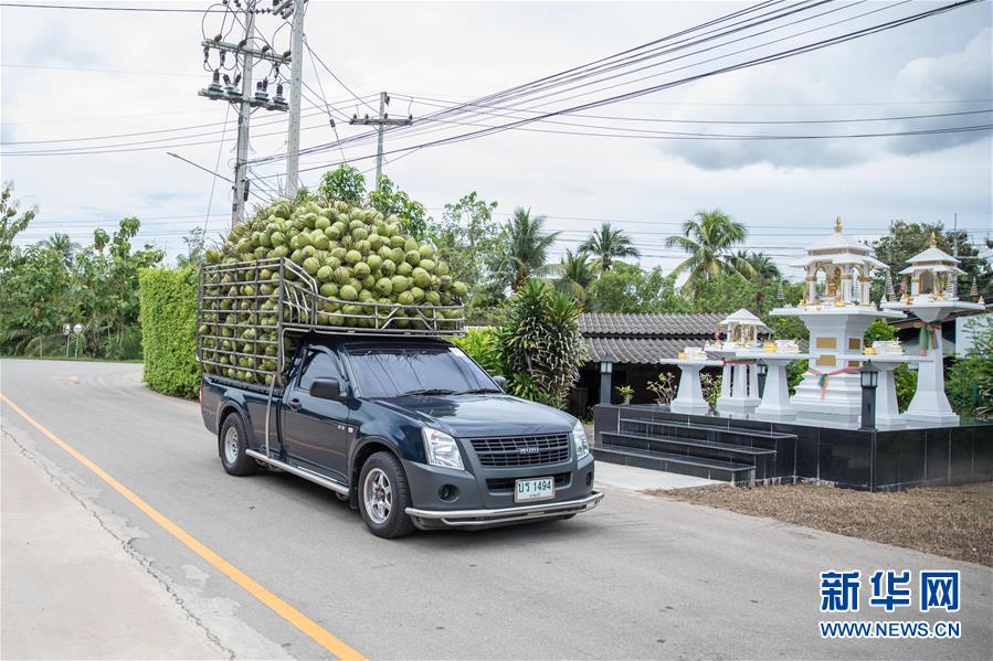 (第三屆進博會·圖文互動)(1)通訊:椰香飄進進博會 市場開放共繁榮——一名泰國椰商的心聲