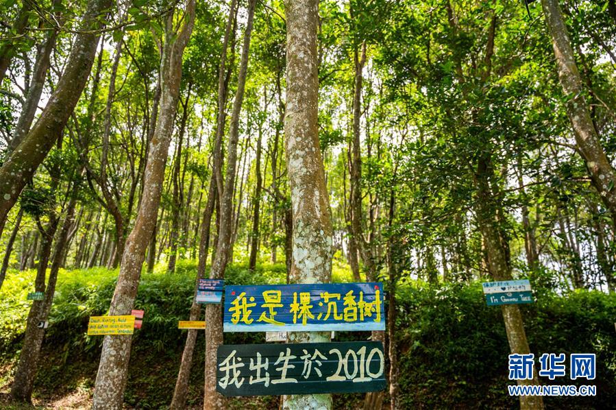 (第三屆進博會·圖文互動)(10)專訪:進博會提供了一個共享中國發展機遇的平臺