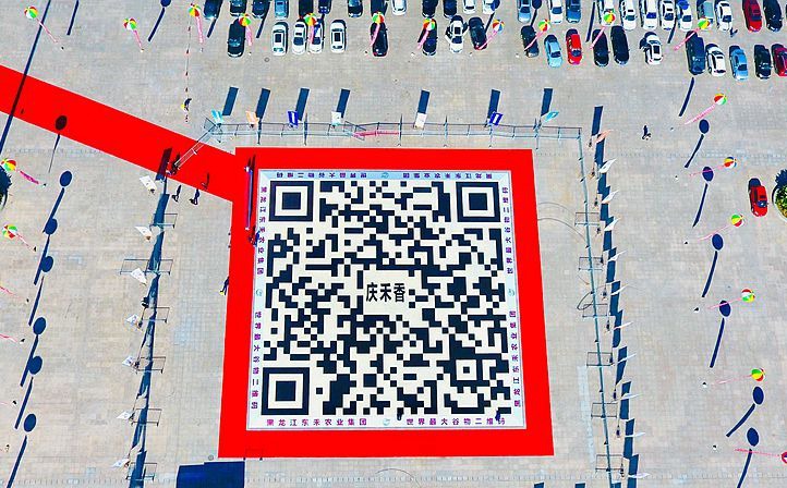 世界最大谷物二維碼吉尼斯紀錄挑戰成功