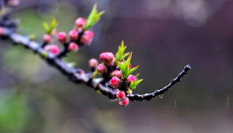 隨心而行，走走停停始終精彩。